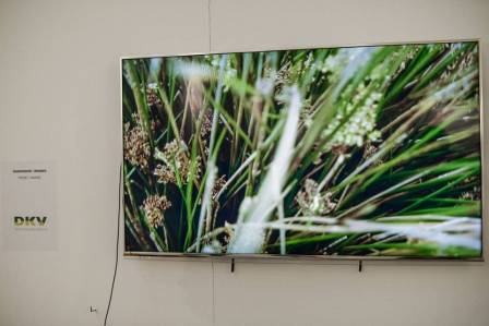 Video de Lúa Coderch. Galería Angels Barcelona