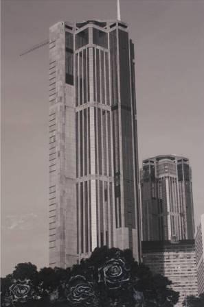 125 Flores. Corina Briceño