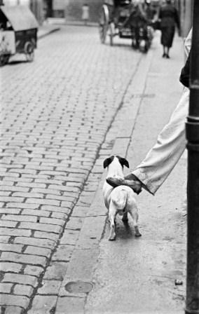 ©Ramón Masats. Sanfermines, Pamplona, 1957