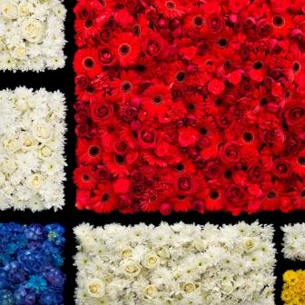 Estudio para un jardín paulista