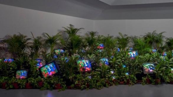 Nam June Paik, TV Garden 1974-77 (2002) Single-channel video installation with live plants and color television monitors; color, sound Courtesy Kunstsammlung Nordrhein-Westfalen, Dusseldorf