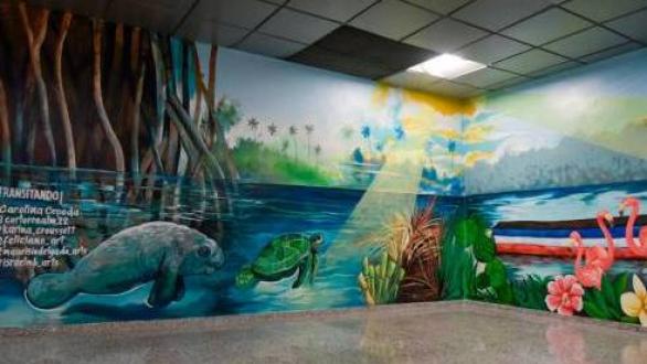 murales en aeropuerto de dominicana 
