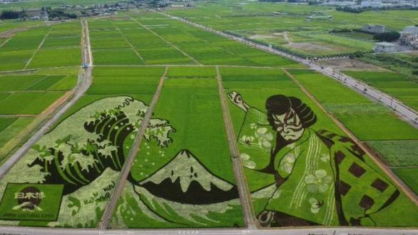 obra de arte con plantas de arroz en Japón 