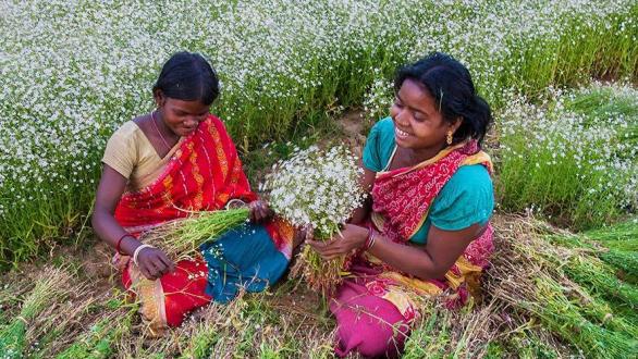 Jóvenes de Bengala Occidental aprendieron a hacer ramos de flores de Jhuphsi, una especie de flor salvaje. Sus habilidades en arreglos florales las ayuda a ganarse la vida. © UNESCO-UNEVOC/Amitava Chandra