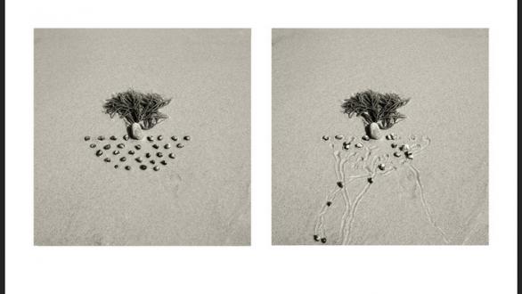 Daniel Ranalli, 17 Minute Snail Drawing With Kelp, 2019, Archival pigment print on rag paper, 20h x 30w in