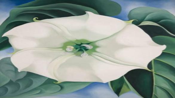Georgia O’Keeffe, Jimson Weed, White Flower No. 1, 1932.  Crystal Bridges Museum of American Art (Arkansas, USA) © 2016 Georgia O'Keeffe Museum/ DACS, London