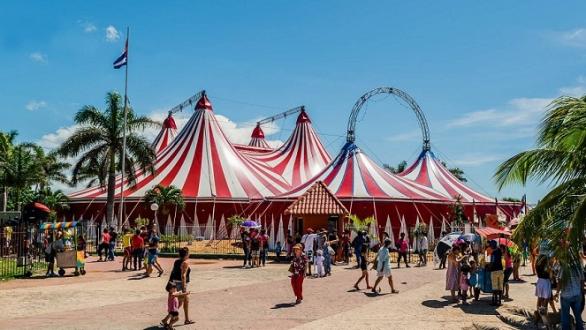 Carpa Trompoloco