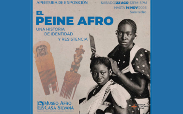 Exposición Peine Afro