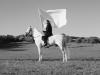  Marina Abramović, The Hero,2001, video
