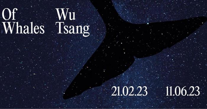 Wu Tsang. Of Whales