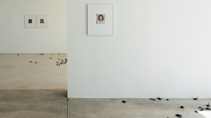 Inaugurada la nueva exposición de Nina Beier y Simon Dybbroe Møller en la Fundación Ses Dotze Naus
