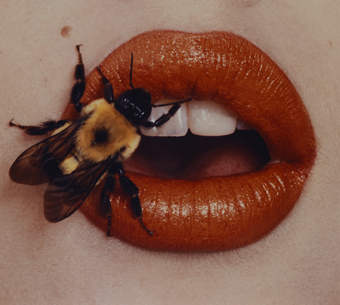 Irving Penn, Bee. New York, 1995, printed 2001. 