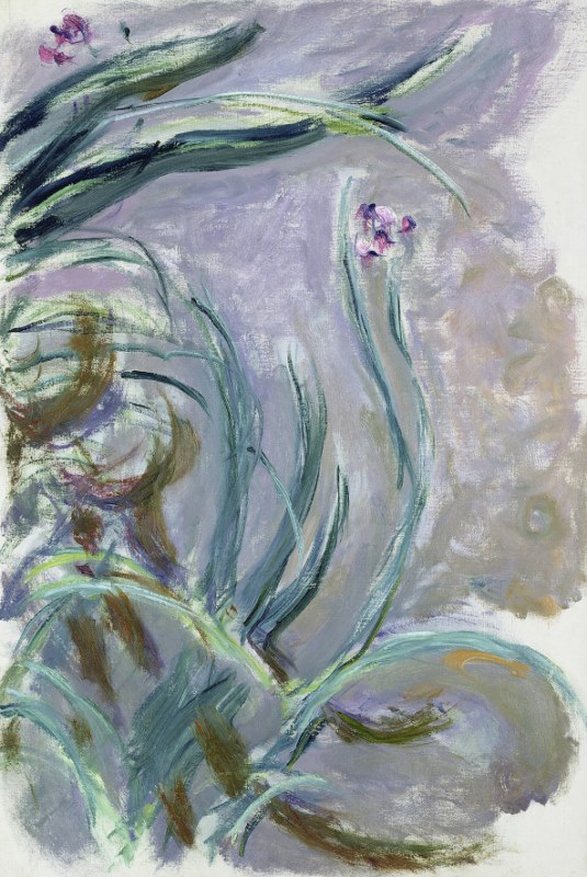 Claude Monet (1840-1926) Iris, hacia 1924-1925 Óleo sobre lienzo, 105×73 cm París, Musée Marmottan Monet, legado Michel Monet, 1966 Inv. 5076 © Musée Marmottan Monet, Paris
