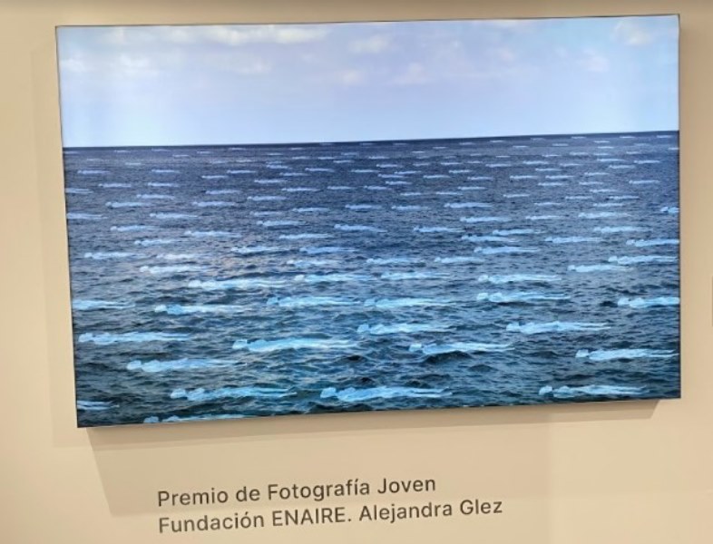 Obra de Alejandra Glez primer premio Fundación Enaire 2021