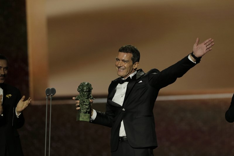 Antonio Banderas, Mejor actor protagonista,  por Dolor y gloria