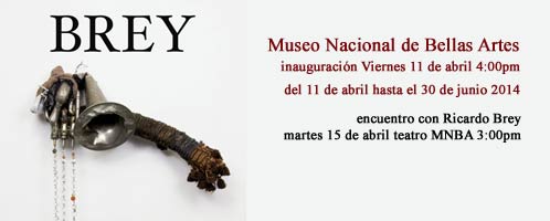 Exhibe el Museo Nacional de Bellas Artes la obra del artista cubano Ricardo Brey