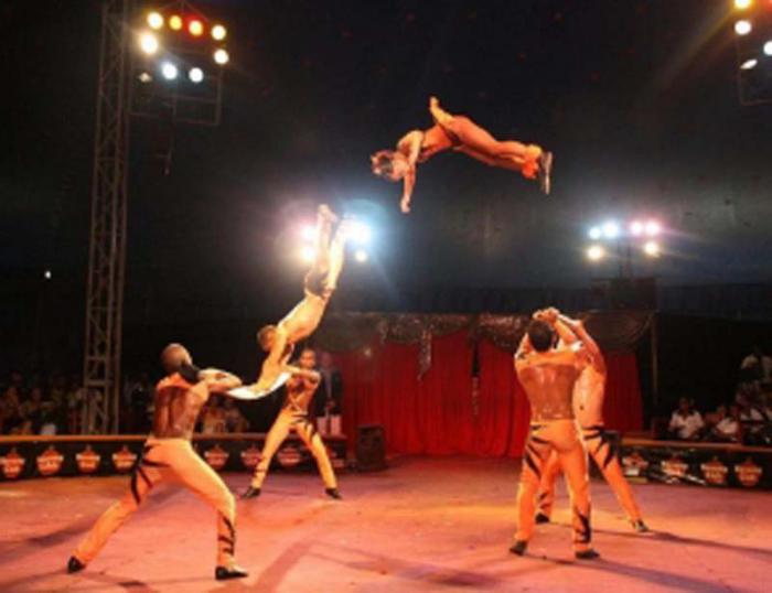 Se desarrolla exitosamente el primer encuentro de la Jornada del Circo cubano 2015