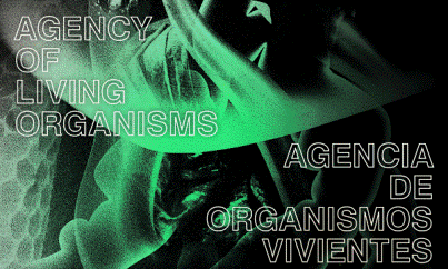 Tabakalera presenta nueva exposición: Agency of Living Organism