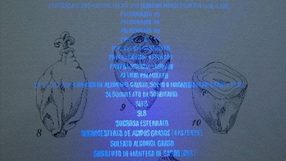 Luna BENGOECHEA. Elaeis Guineensis bulbo, 2018. Tinta negra y tinta sensible a la luz UV sobre papel Fabriano, 100 x 70 cm Cortesía: Galería Lucía Mendoza, Madrid