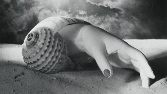 Dora Maar Untitled (Hand-Shell) 1934 © Estate of Dora Maar / DACS 2019, All Rights Reserved
