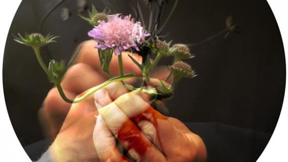Sirah Foighel Brutmann & Eitan Efrat Meeting a Flower Halfway, 2021 HD-Video, circular frame, 14'20", Loop (Videostill) Courtesy Sirah Foighel Brutmann & Eitan Efrat © Sirah Foighel Brutmann & Eitan Efrat