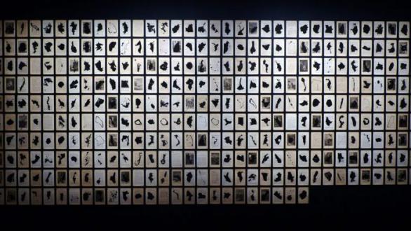 Aurélien Mauplot, Les Possessions, 2014, Installation murale, impressions numériques sur pages de livres, dimimensions variables, 500 x 200cm environ. Courtesy de l’artiste © Aurélien Mauplot