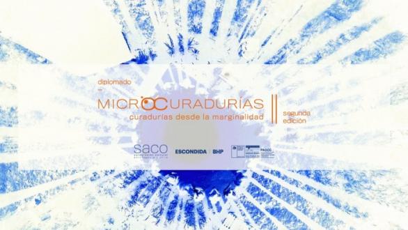 diplomado Microcuradurías 