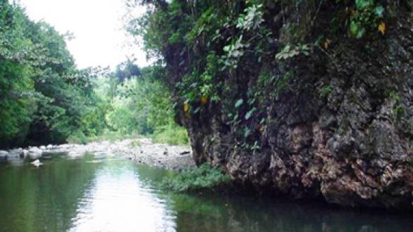 La biodiversidad del Parque Nacional Alejandro de Humbolt es objeto de estudio por investigadores cubanos y estadounidenses. Foto: Juventud Rebelde